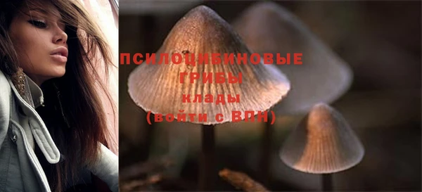 MESCALINE Пересвет