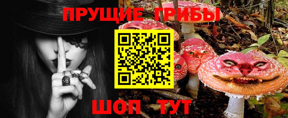 Галлюциногенные грибы Cubensis Нижнеудинск